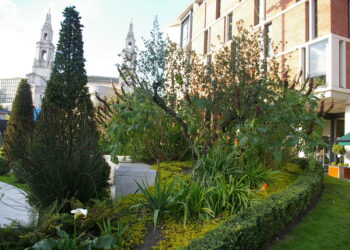 Sowing Your Passion Today To Ripe Your Peace For Tomorrow – Gardening