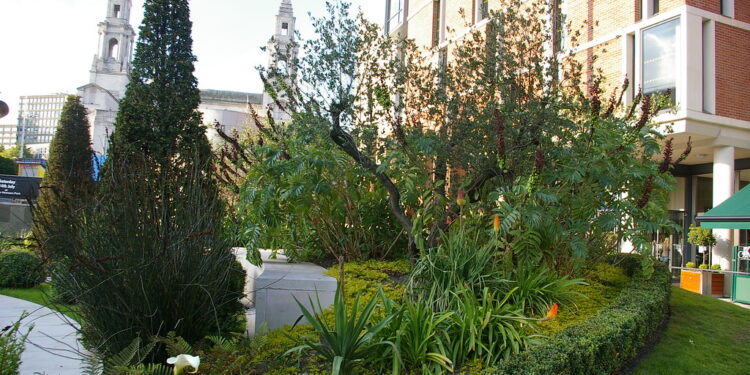 Sowing Your Passion Today To Ripe Your Peace For Tomorrow – Gardening
