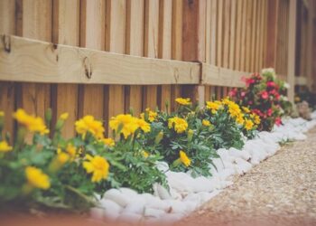 Creative Rock Landscaping Ideas for Homeowners