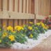 Creative Rock Landscaping Ideas for Homeowners