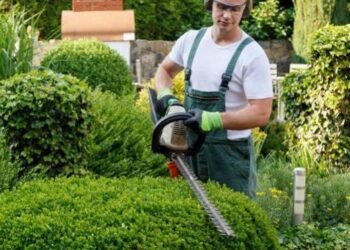 Should You Hire a Landscaping Company?