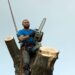 Pricing Guide: Is Tree Removal Expensive?