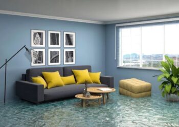 4 Services Offered By Water Damage Restoration Companies