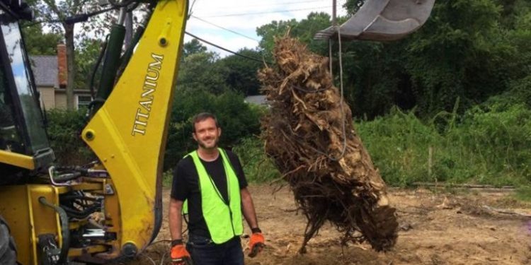 Effective Root Removal: How to Get Rid of Roots in Your Lawn Safely