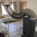 Ignoring Your Air Ducts? Here’s Why You Should Not