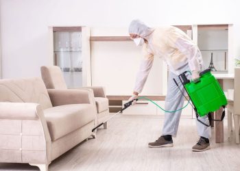 10 Pest Control Secrets Every Homeowner Should Keep in Mind
