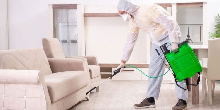 10 Pest Control Secrets Every Homeowner Should Keep in Mind